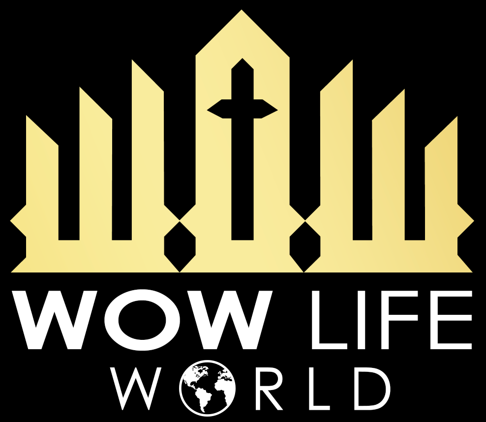 WOWlife T shirt