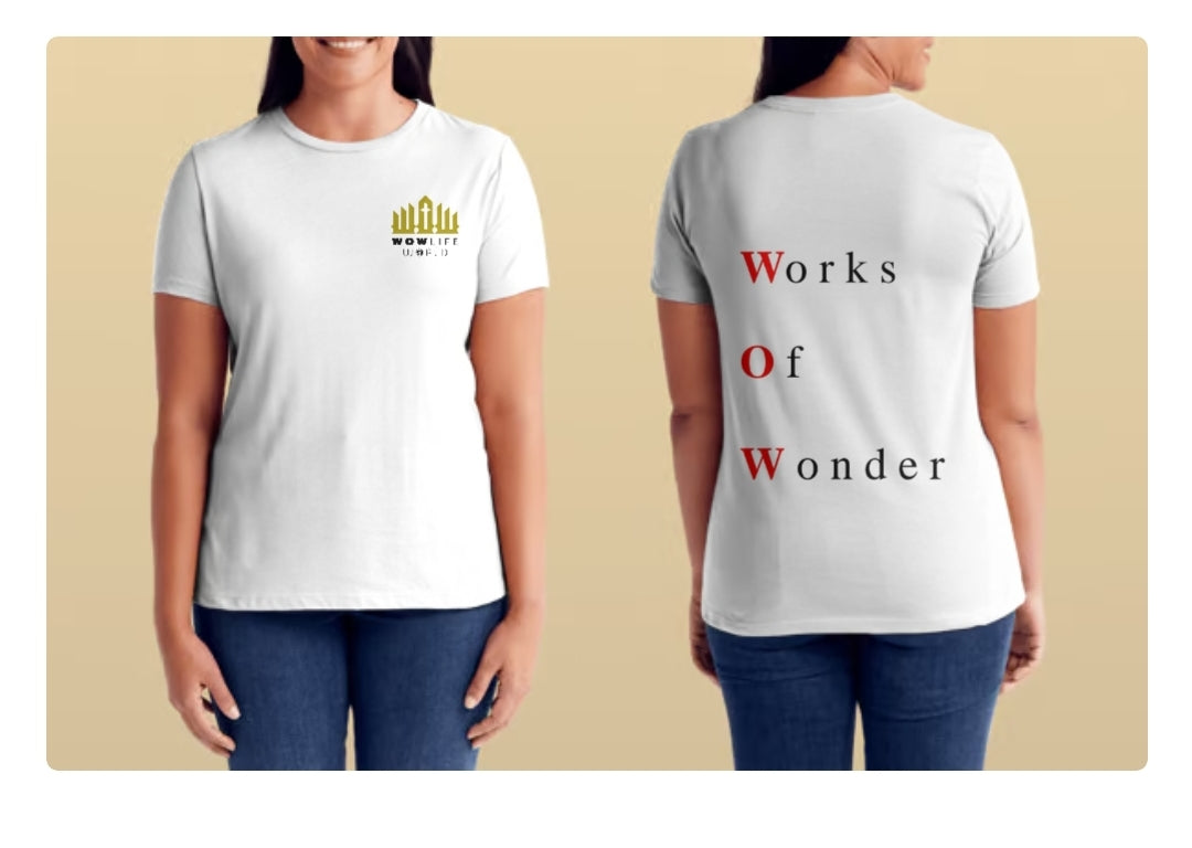 Woman Of Wonder T Shirt